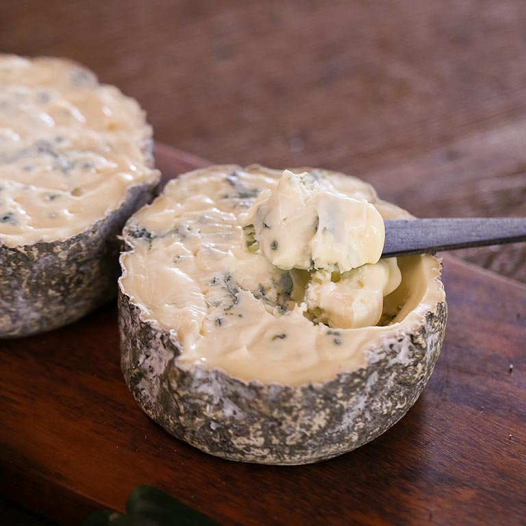 queijo gorgonzola leite de vaca serra das antas 02 (2)